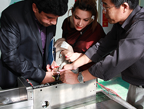 �͑�(h��)��(l��i)�L(f��ng)